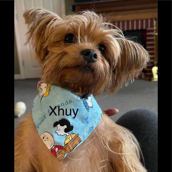 My Little  fur baby XHUY........ 🐾🐾❤️❤️🐾🐾🐾❤️ - Picture 4 of 16